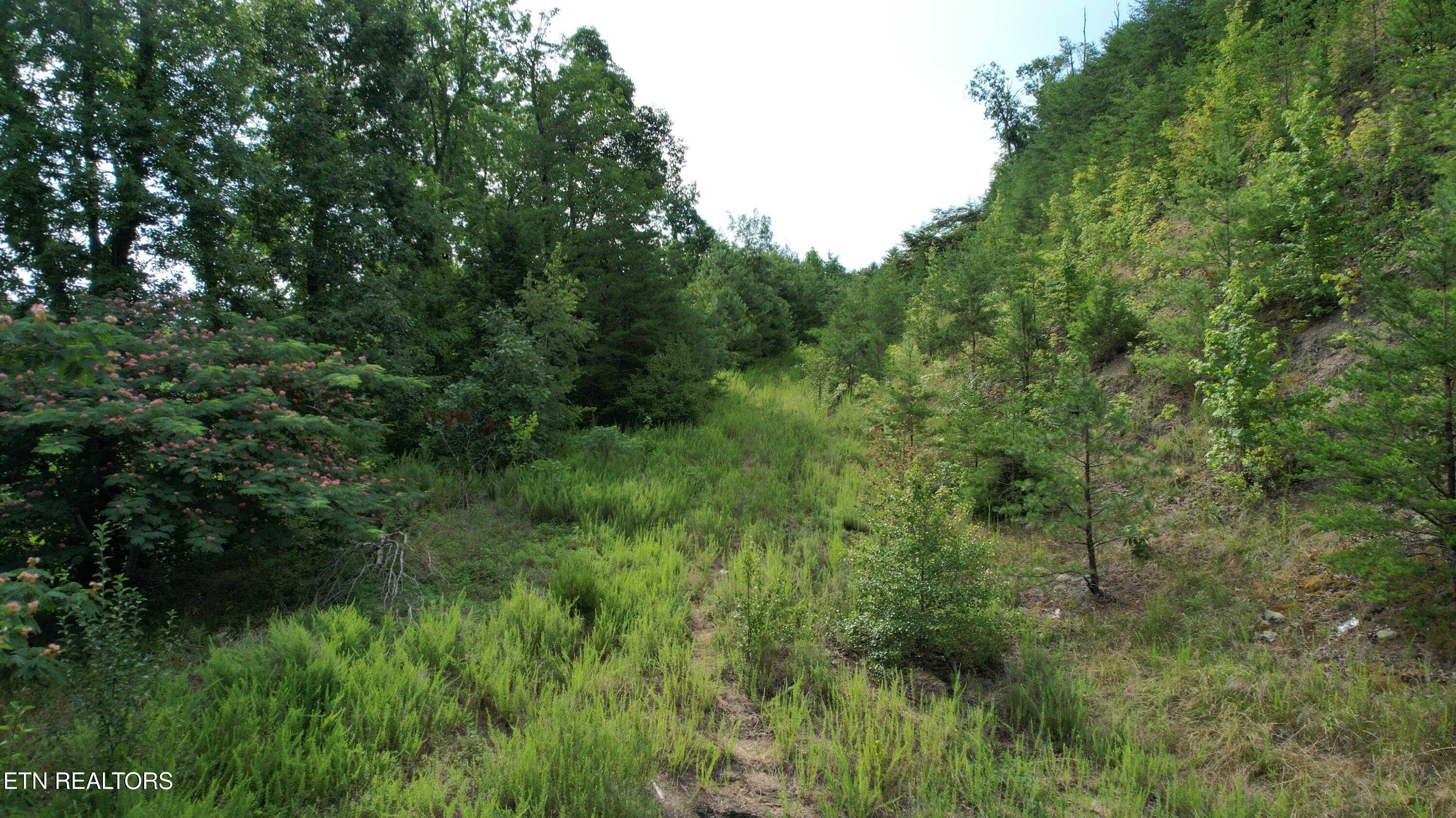 20-r &37 Cherokee Valley Drive Property Photo 27