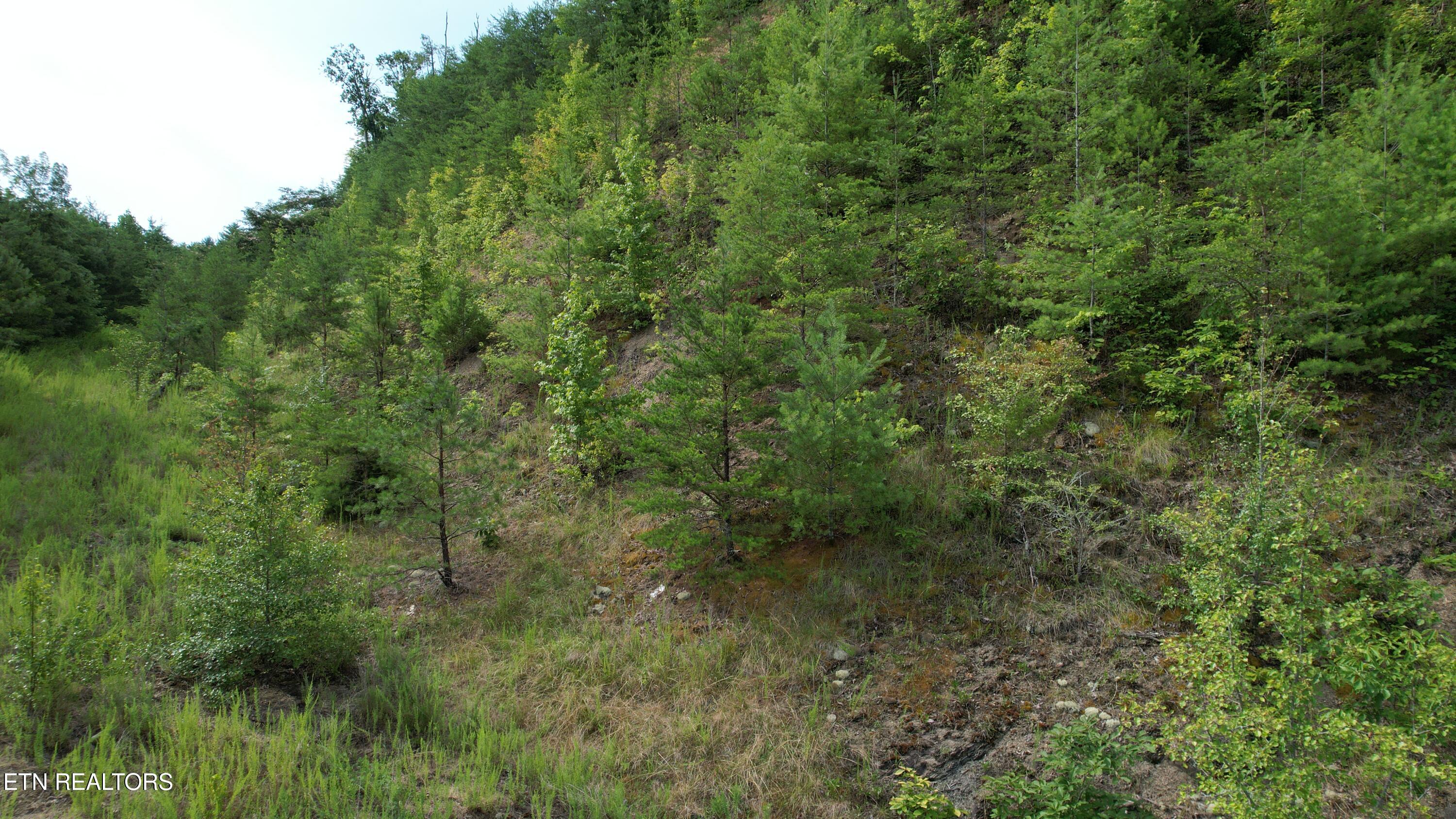 20-r &37 Cherokee Valley Drive Property Photo 28
