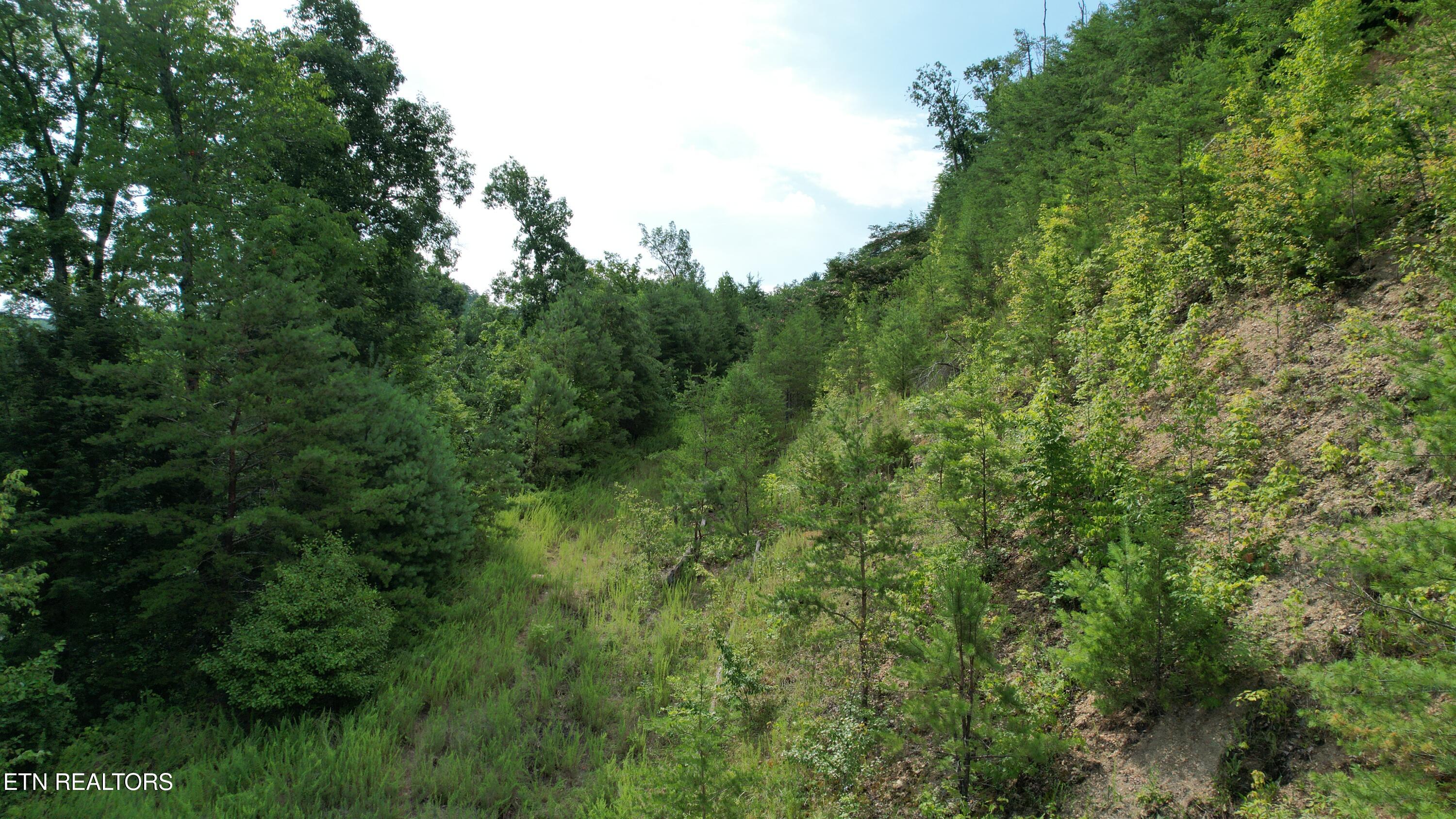 20-r &37 Cherokee Valley Drive Property Photo 29