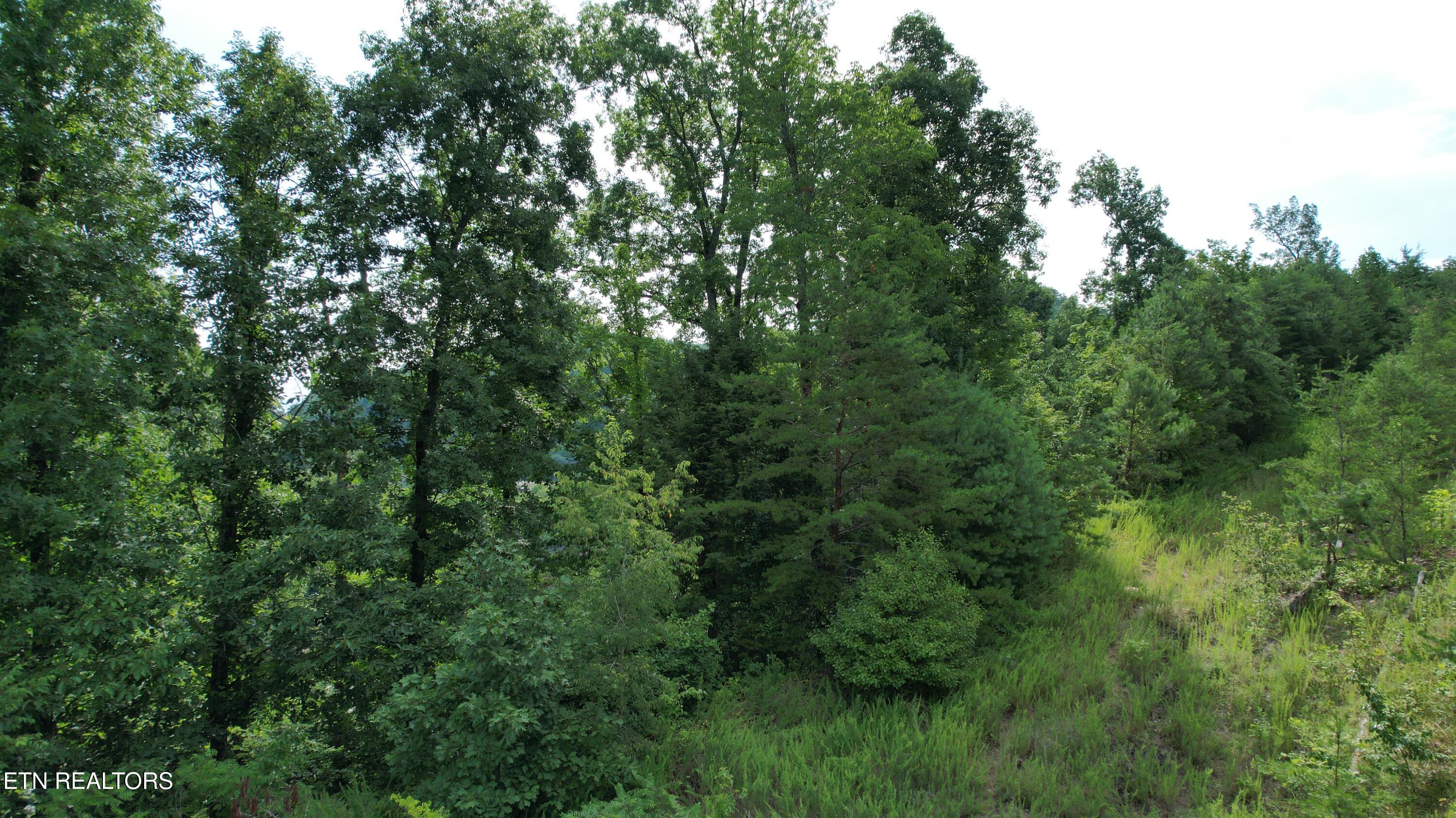 20-r &37 Cherokee Valley Drive Property Photo 30