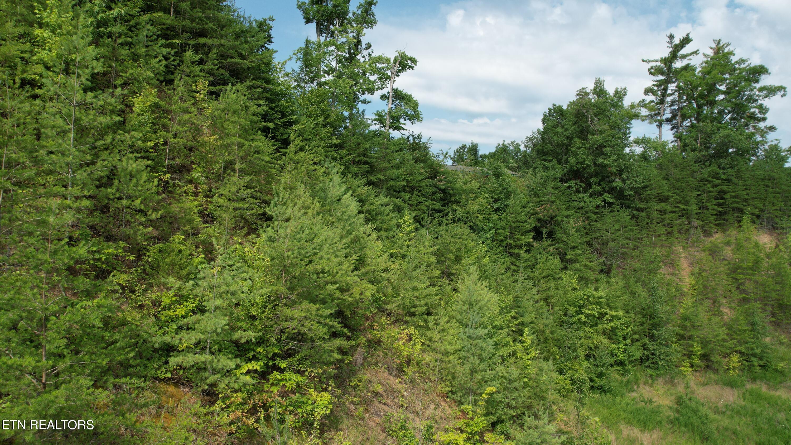 20-r &37 Cherokee Valley Drive Property Photo 32