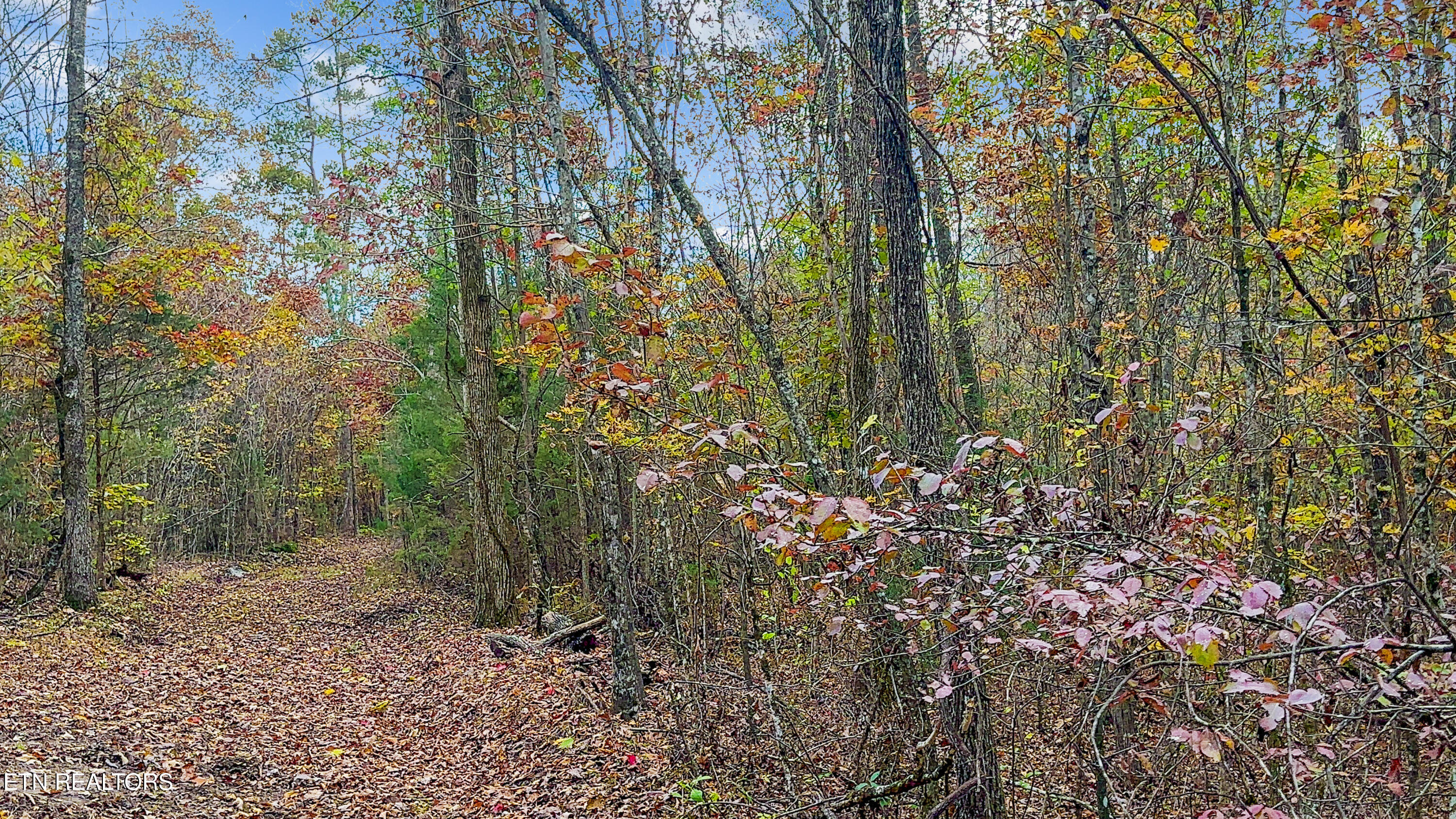 598 Myers Rd Property Photo 4