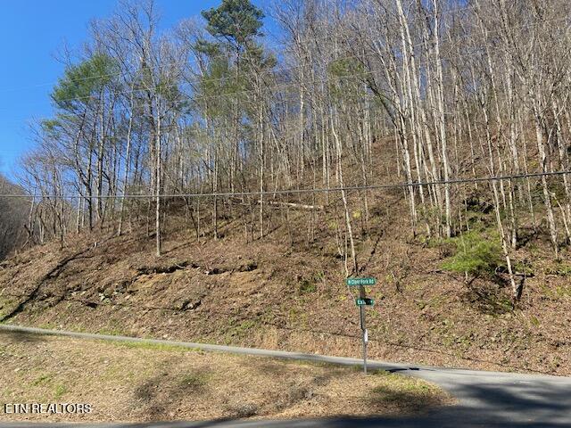 1 & 2 N Clear Fork Rd Property Photo 3