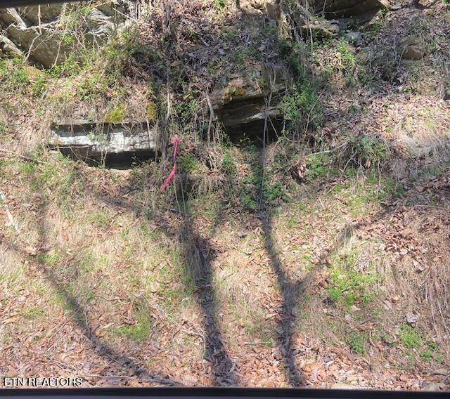 1 & 2 N Clear Fork Rd Property Photo 5