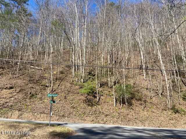 Lot 1 N Clear Fork Rd Property Photo 1