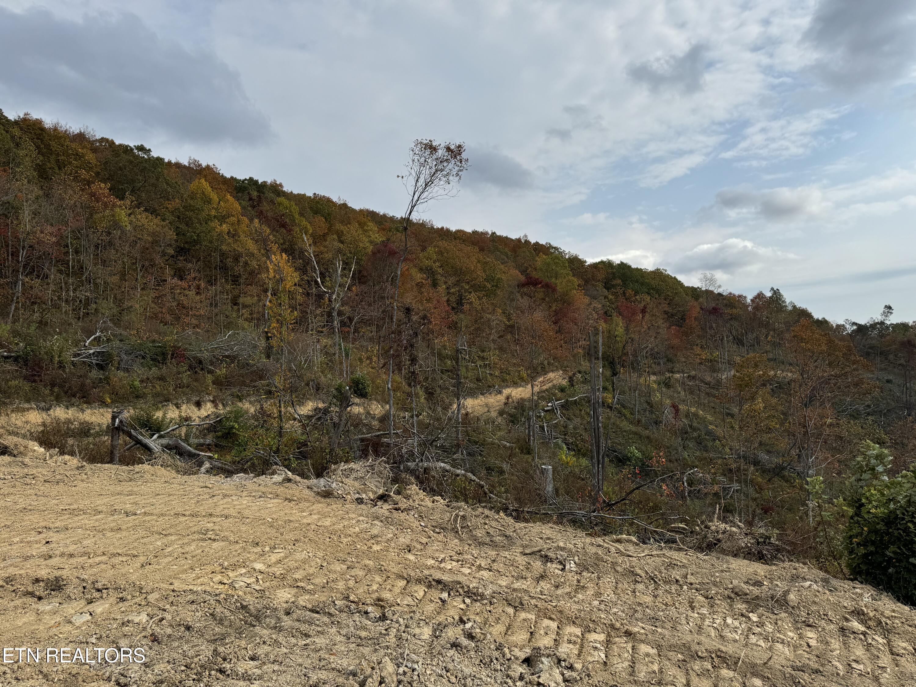 Lot #11 Stanley Creek Rd Property Photo 5