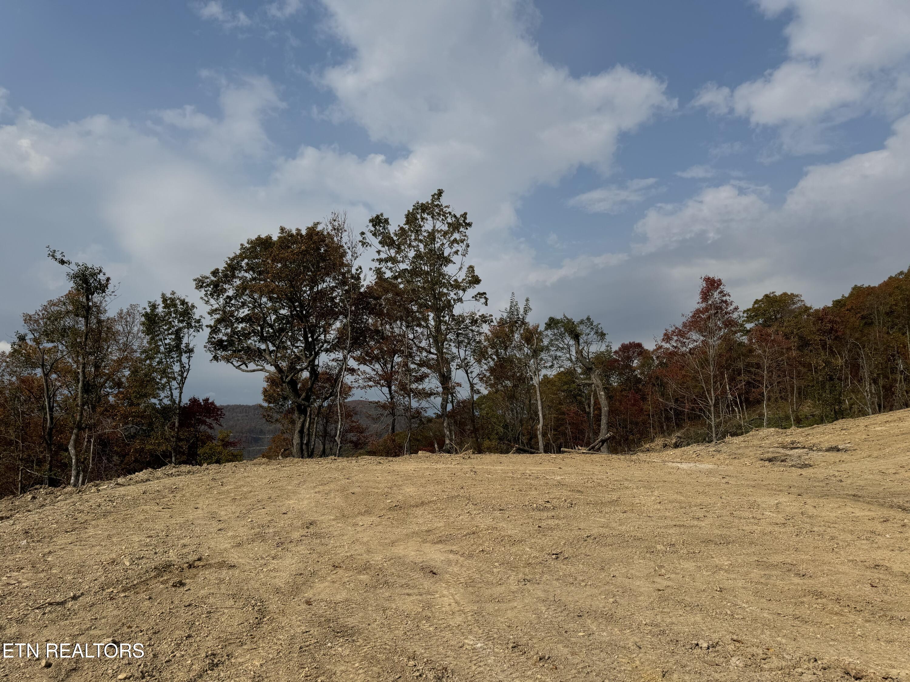 Lot #11 Stanley Creek Rd Property Photo 8