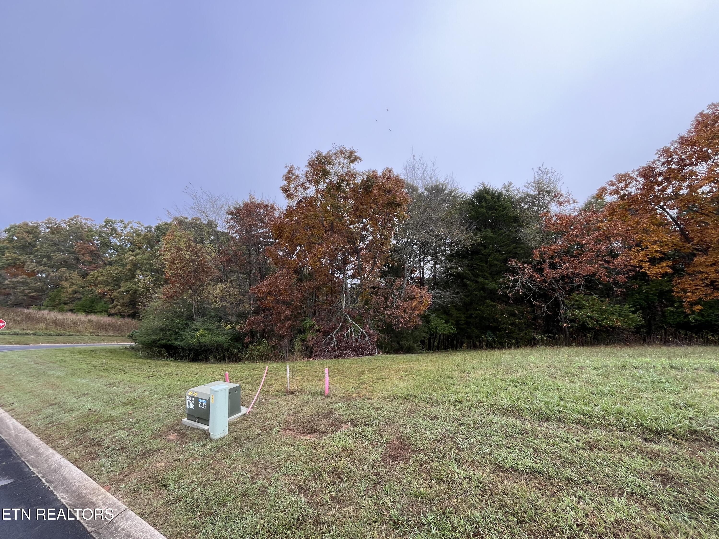 Lot 54 Deer Chase Trl Property Photo 1