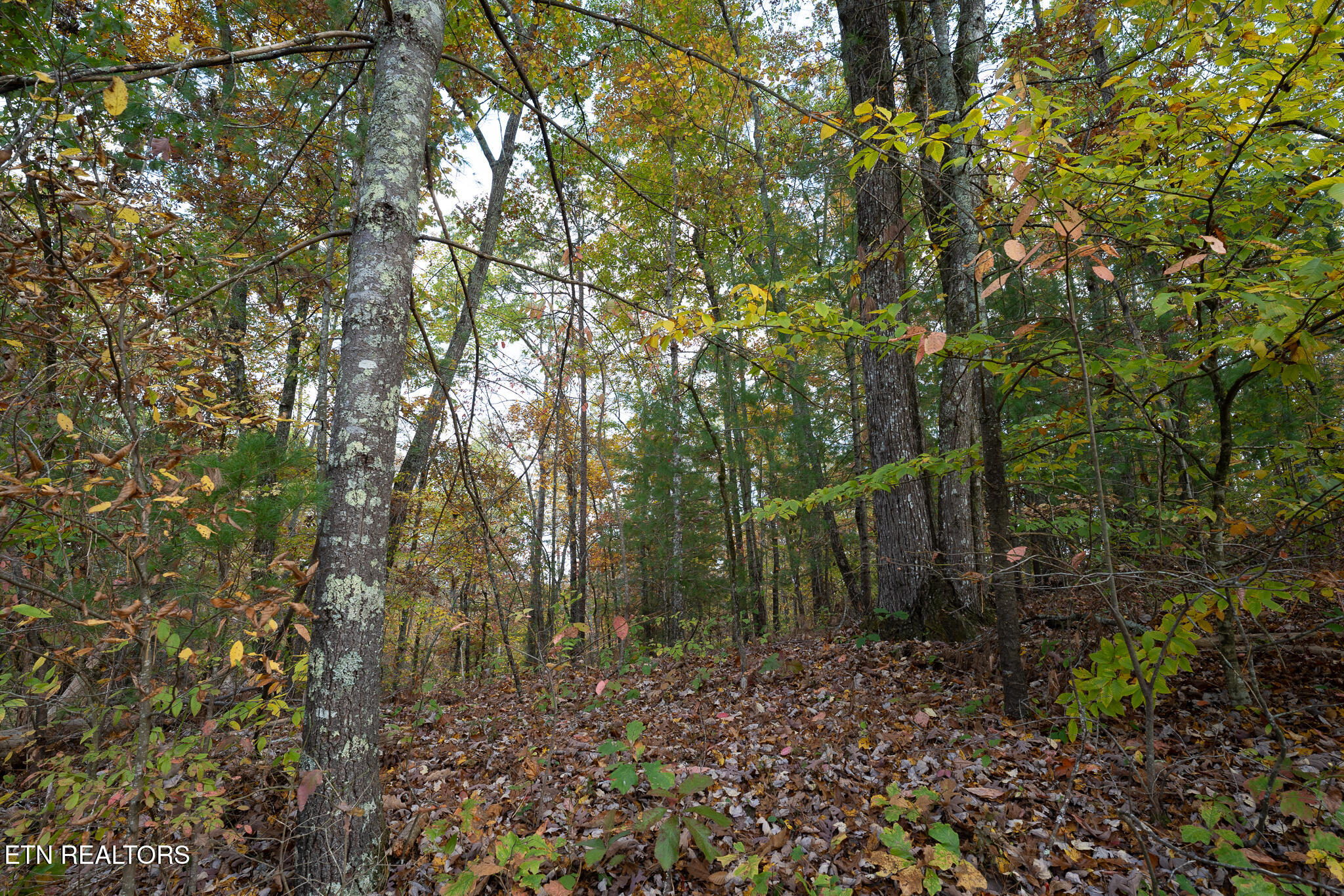 Lake Overlook Drive Property Photo 2