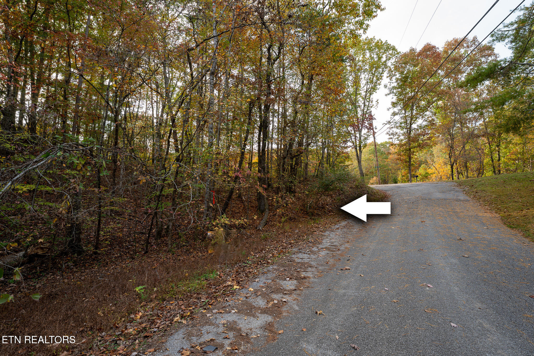 Lake Overlook Drive Property Photo 3