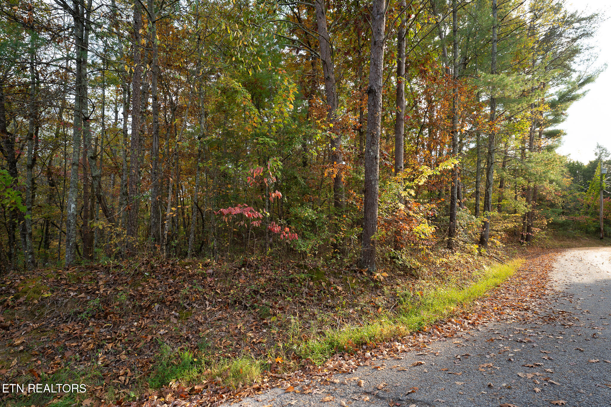 Lake Overlook Drive Property Photo 4
