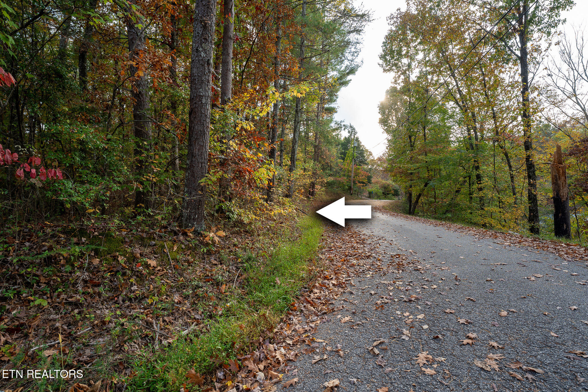 Lake Overlook Drive Property Photo 5