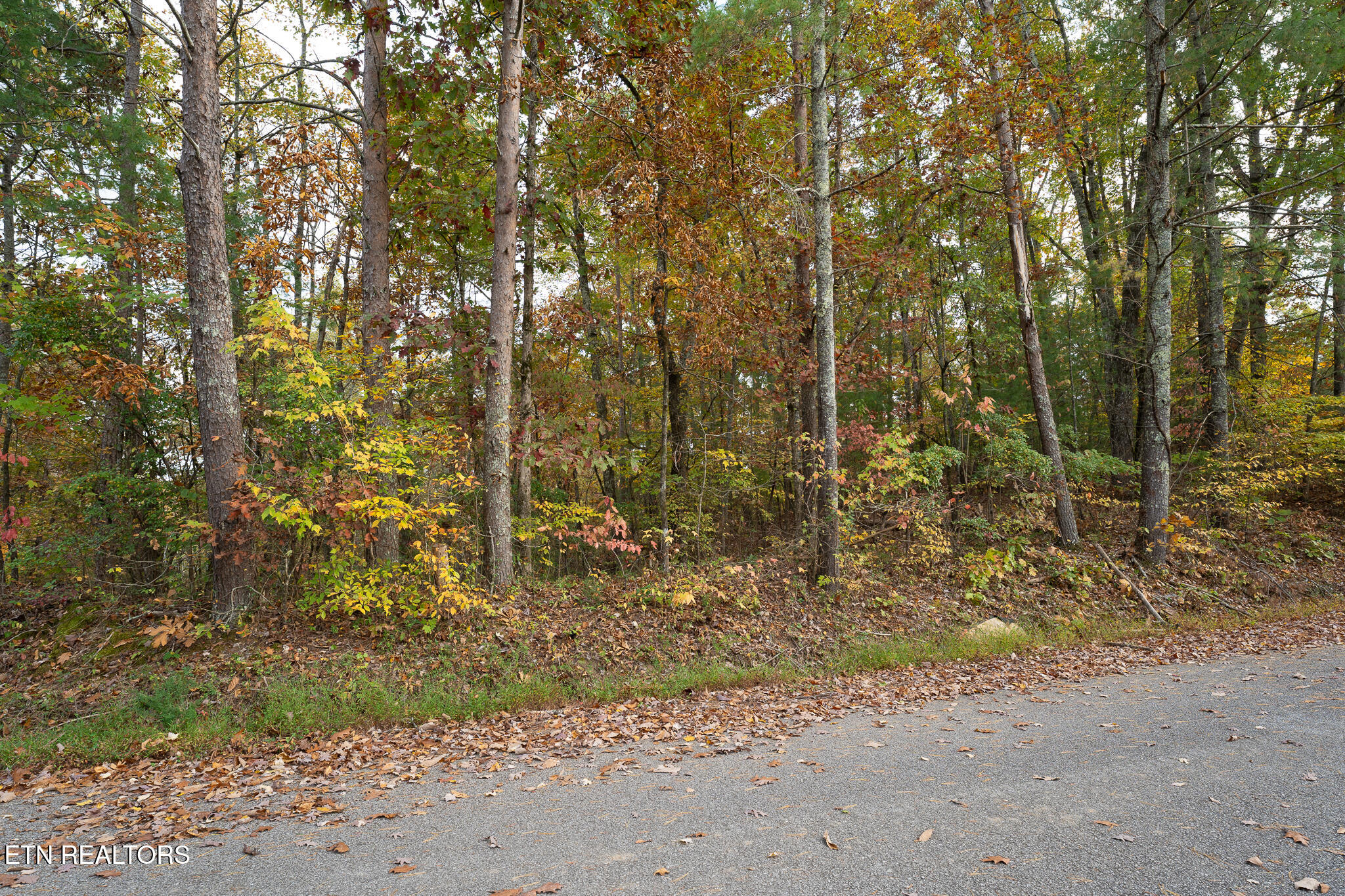 Lake Overlook Drive Property Photo 6