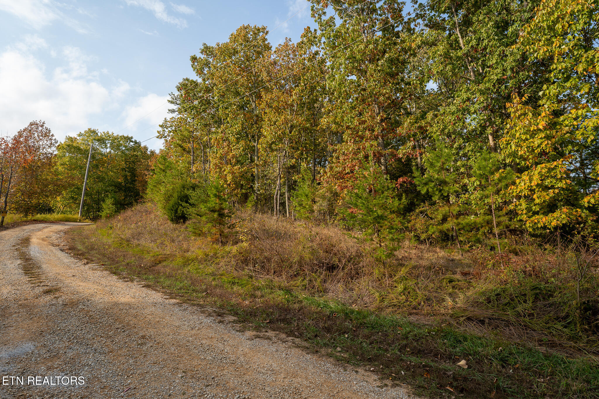 Lake Overlook Drive Property Photo 3