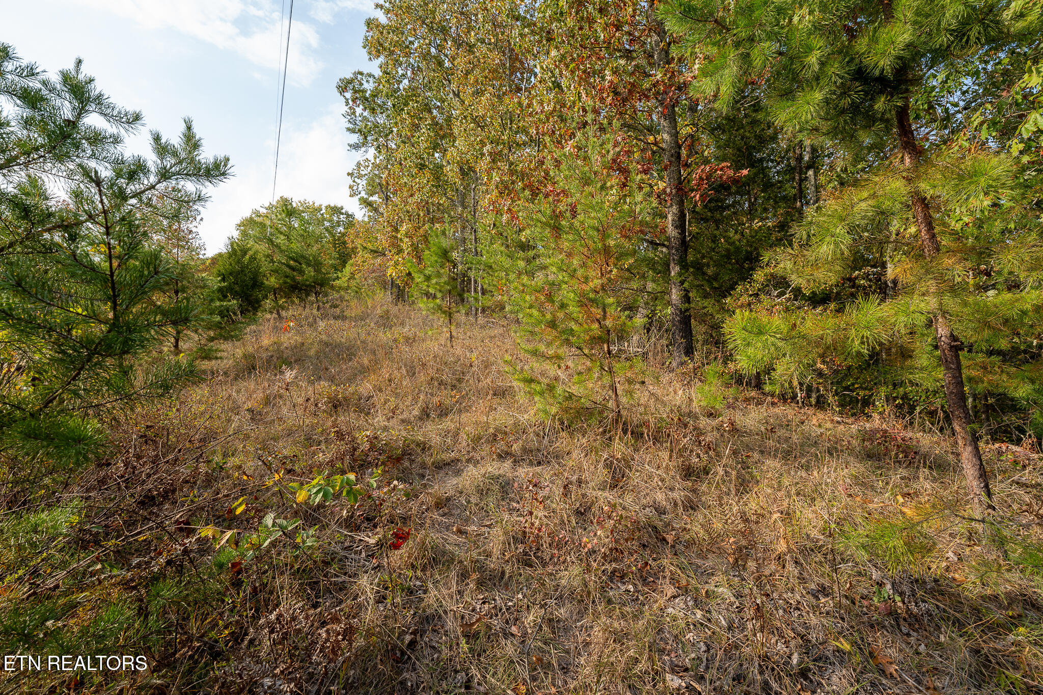 Lake Overlook Drive Property Photo 4