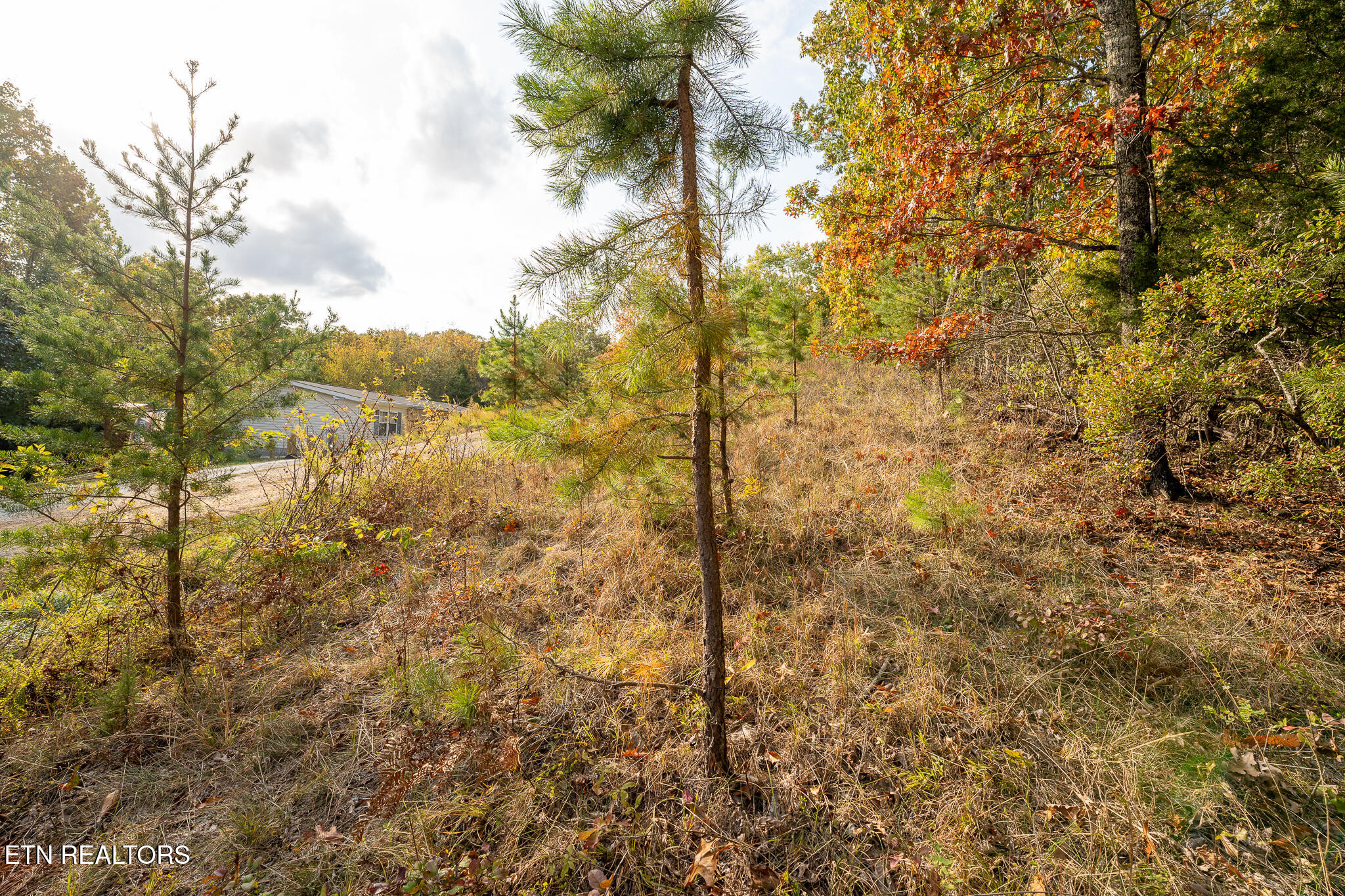 Lake Overlook Drive Property Photo 5