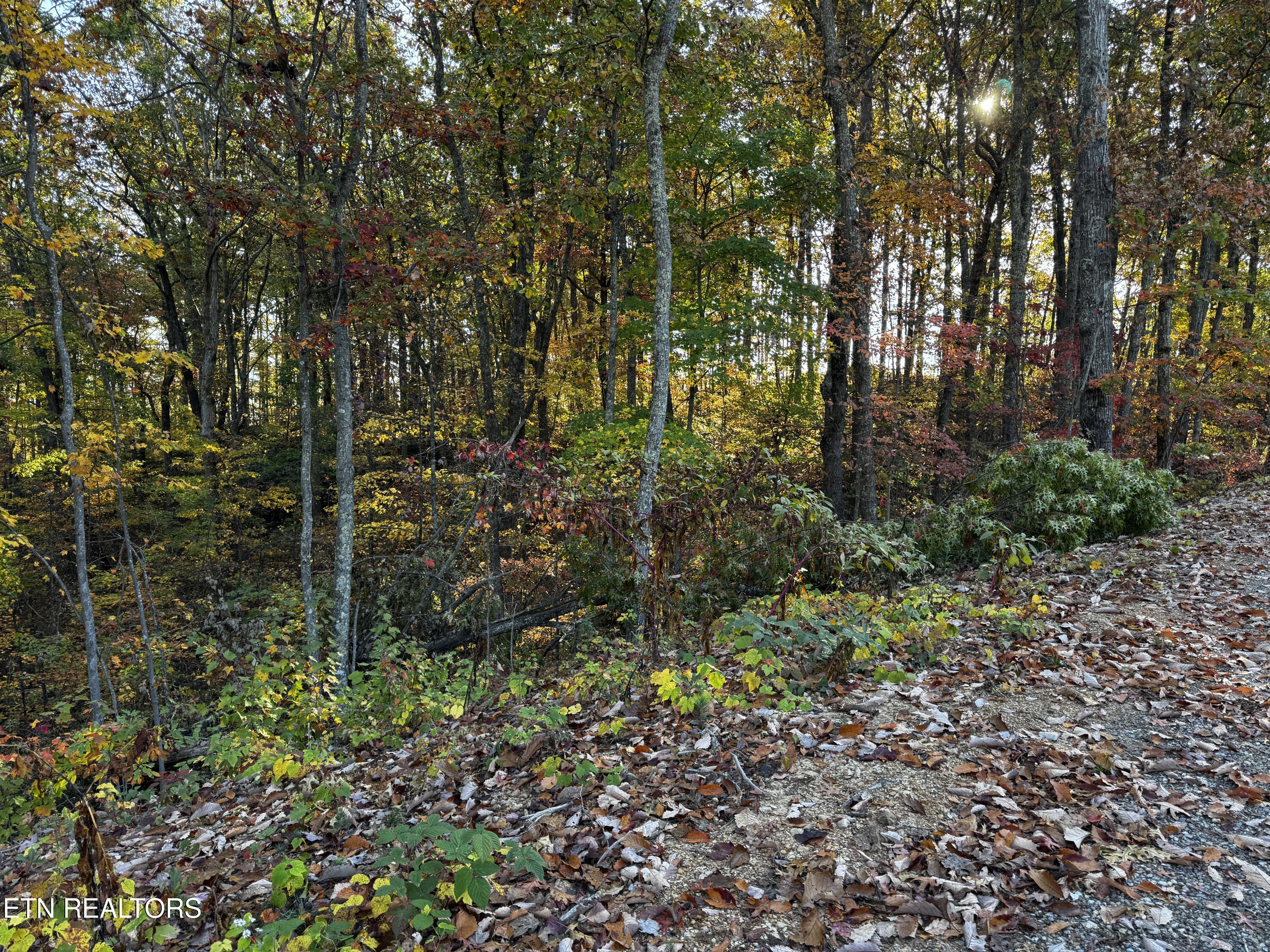 0 Mountain Ashe Way Property Photo 3