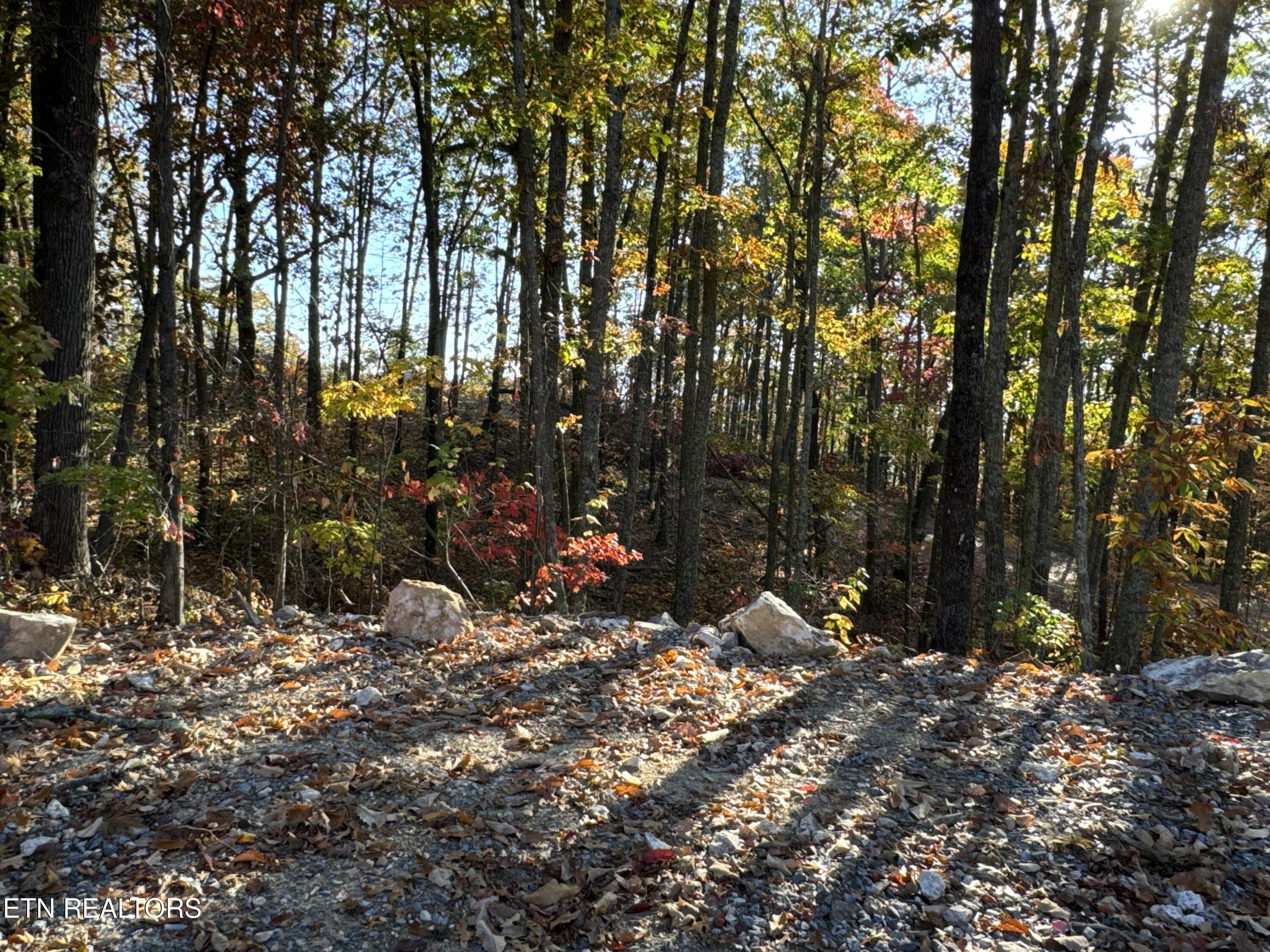 0 Mountain Ashe Way Property Photo 4