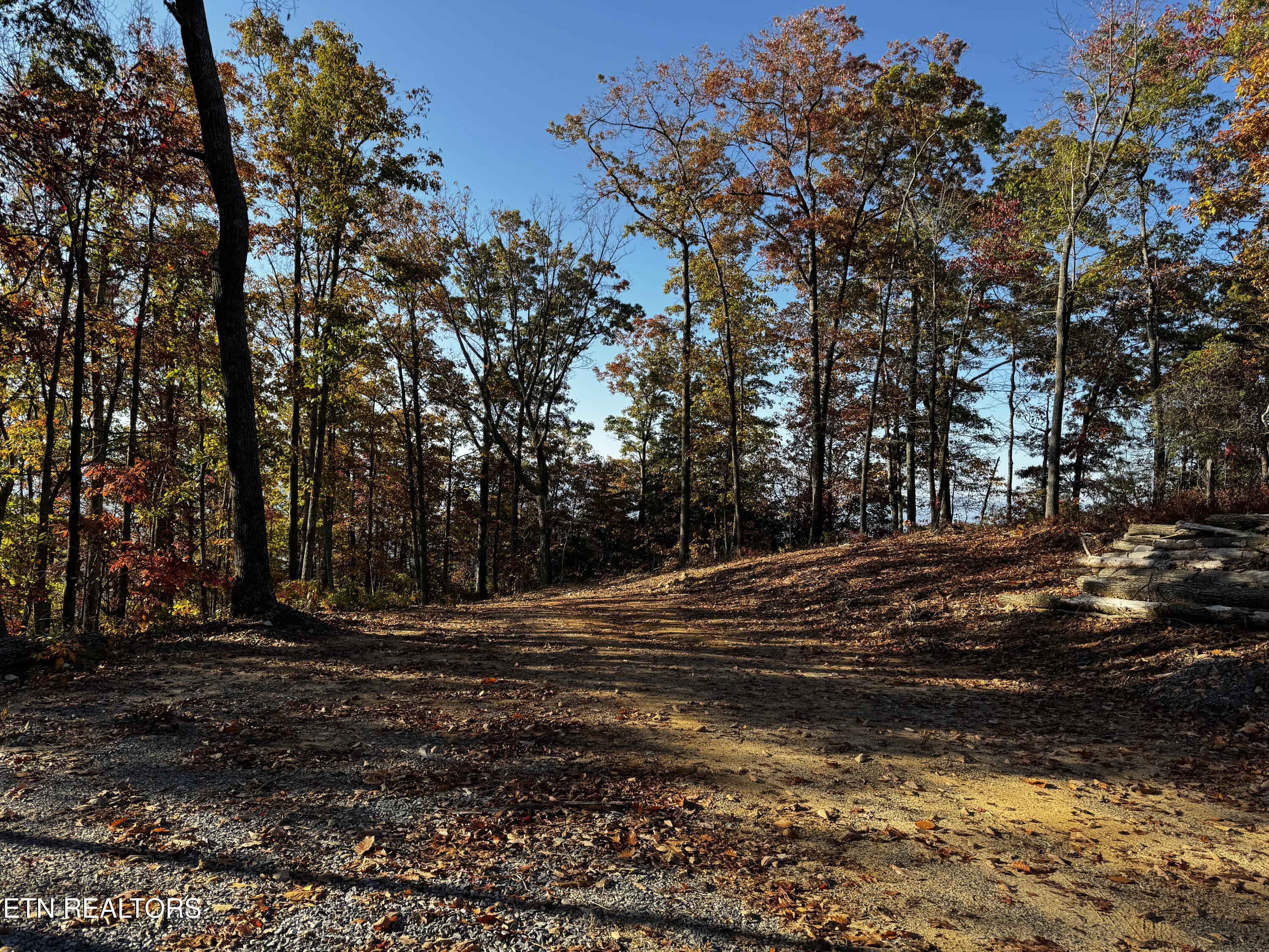 0 Mountain Ashe Way Property Photo 6