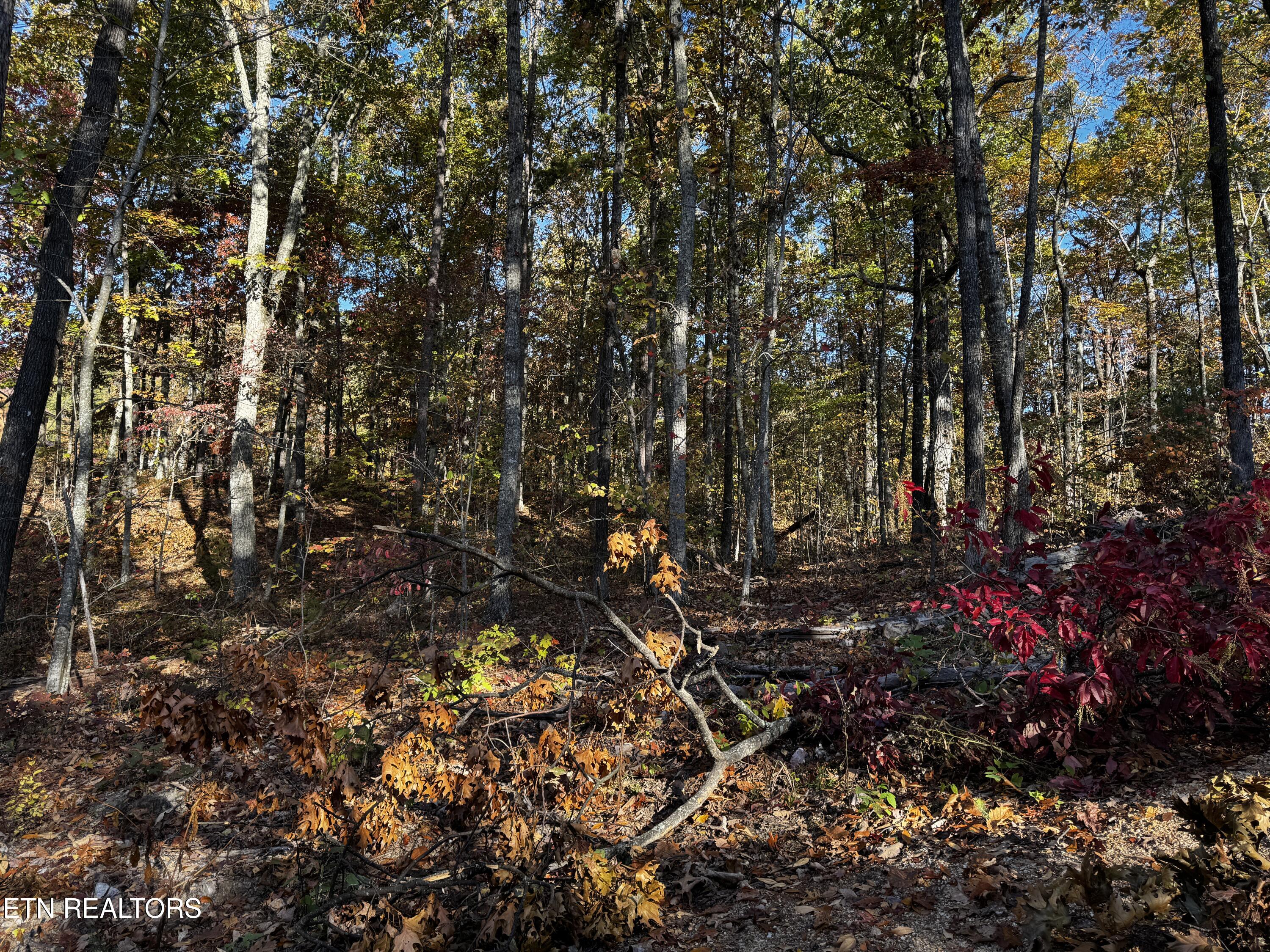 0 Mountain Ashe Way Property Photo 16
