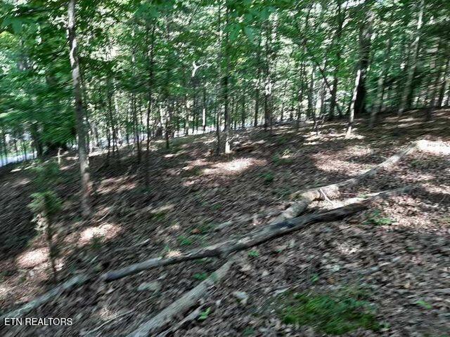 Deer Pond Circle Property Photo 2