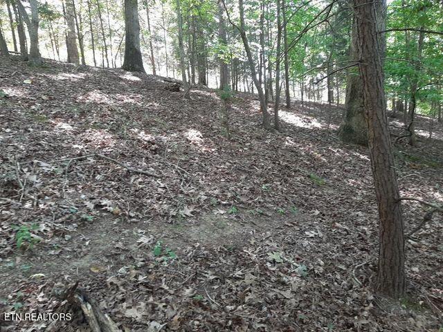 Deer Pond Circle Property Photo 3