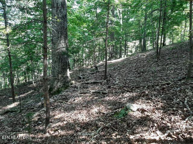 Deer Pond Circle Property Photo 4