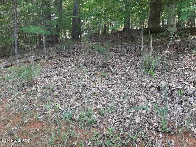 Deer Pond Circle Property Photo 5