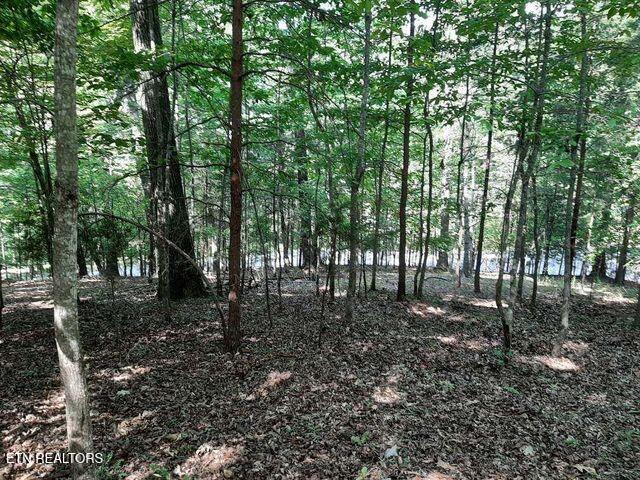Deer Pond Circle Property Photo 6