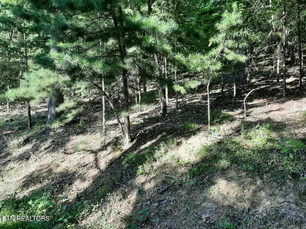 Deer Pond Circle Property Photo 7