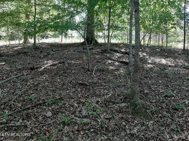Deer Pond Circle Property Photo