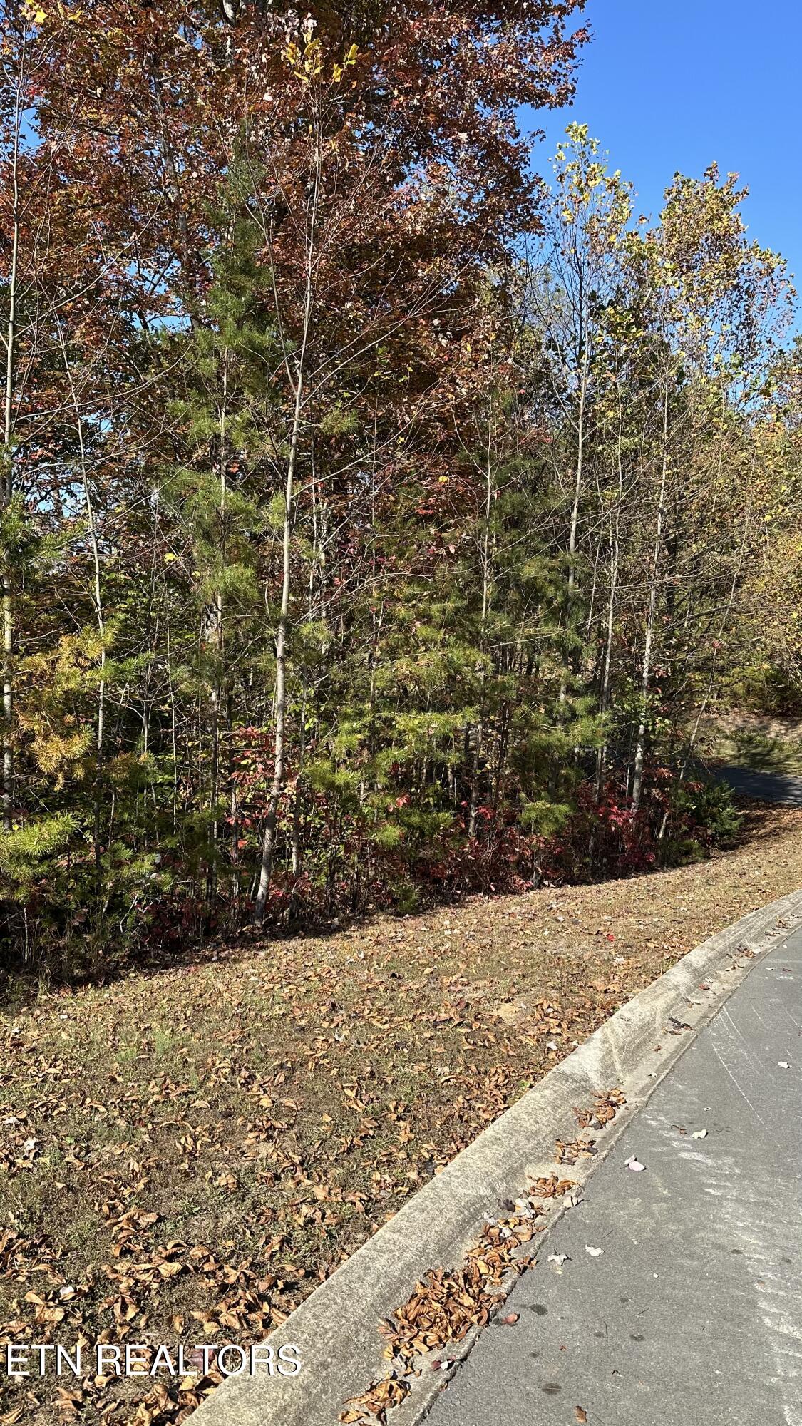 18 Cove Springs Drive Property Photo 4