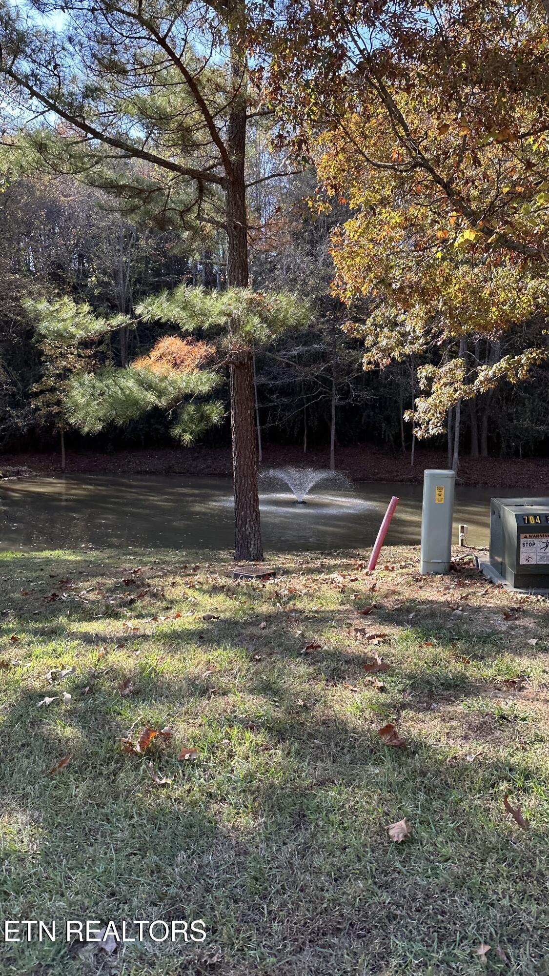 18 Cove Springs Drive Property Photo 11