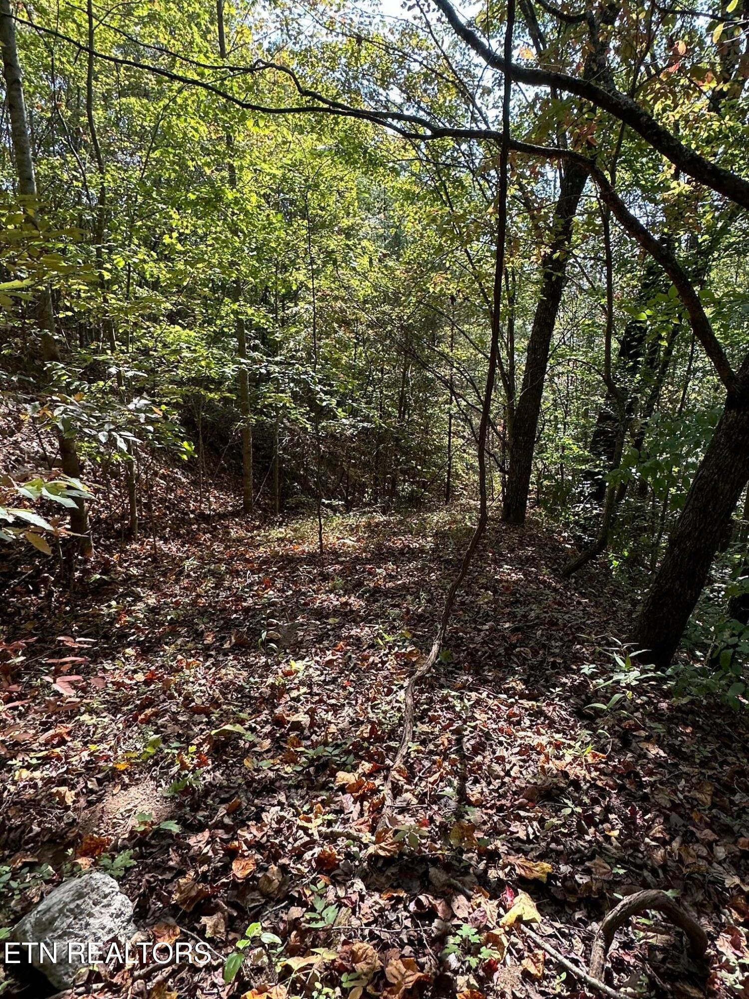 Whistle Valley Rd Property Photo 3
