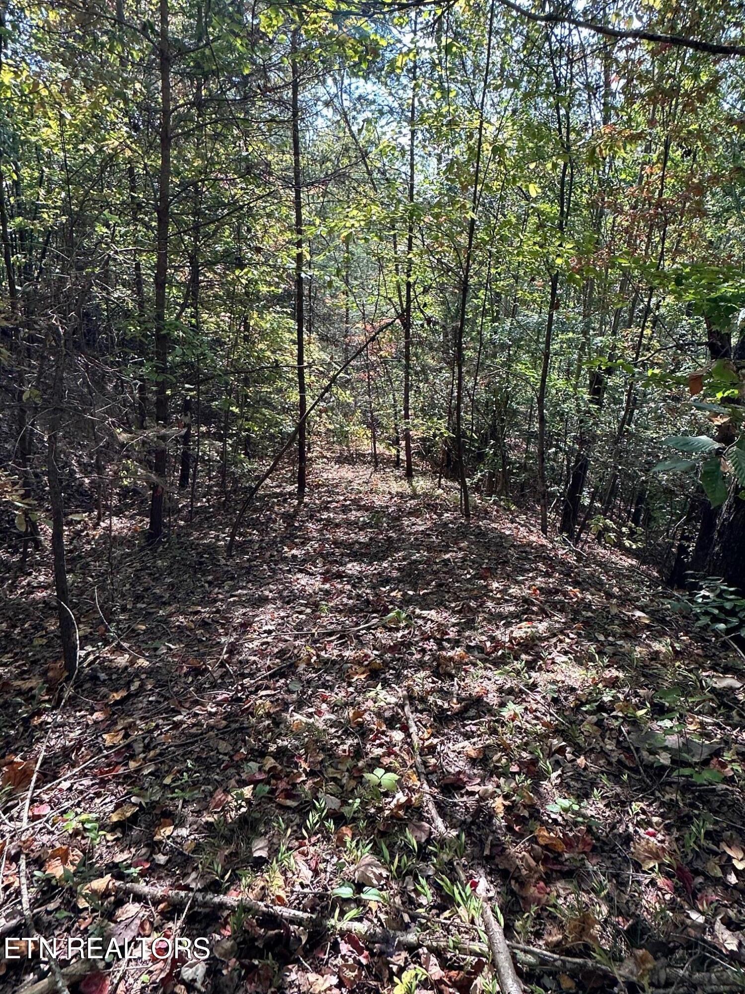 Whistle Valley Rd Property Photo 4