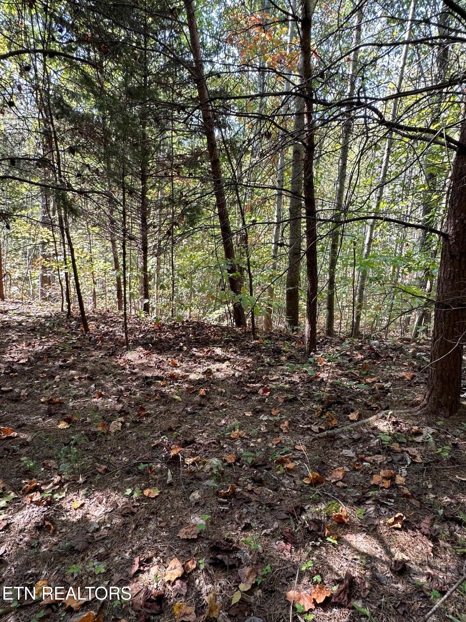 Whistle Valley Rd Property Photo 5
