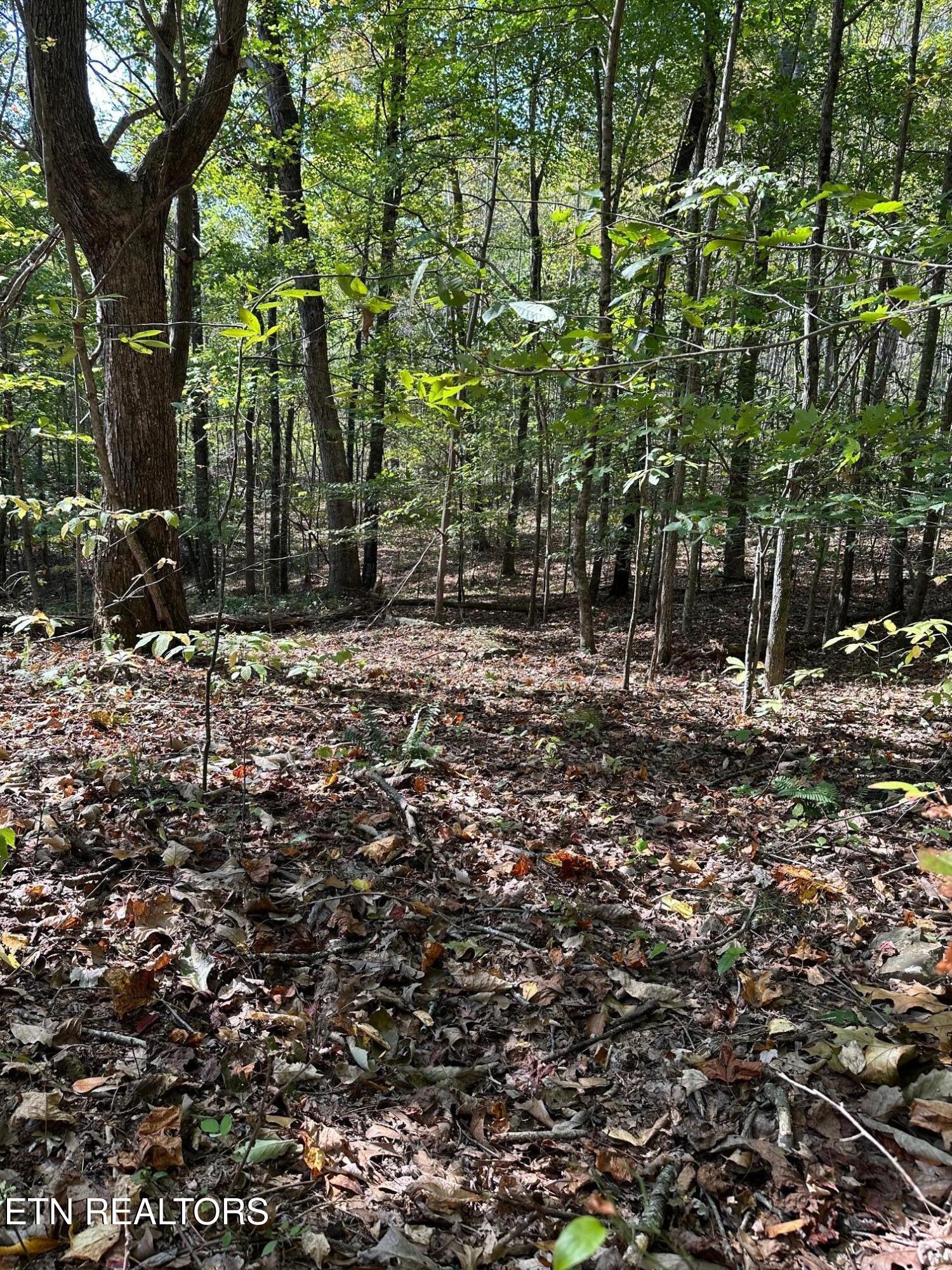 Whistle Valley Rd Property Photo 7