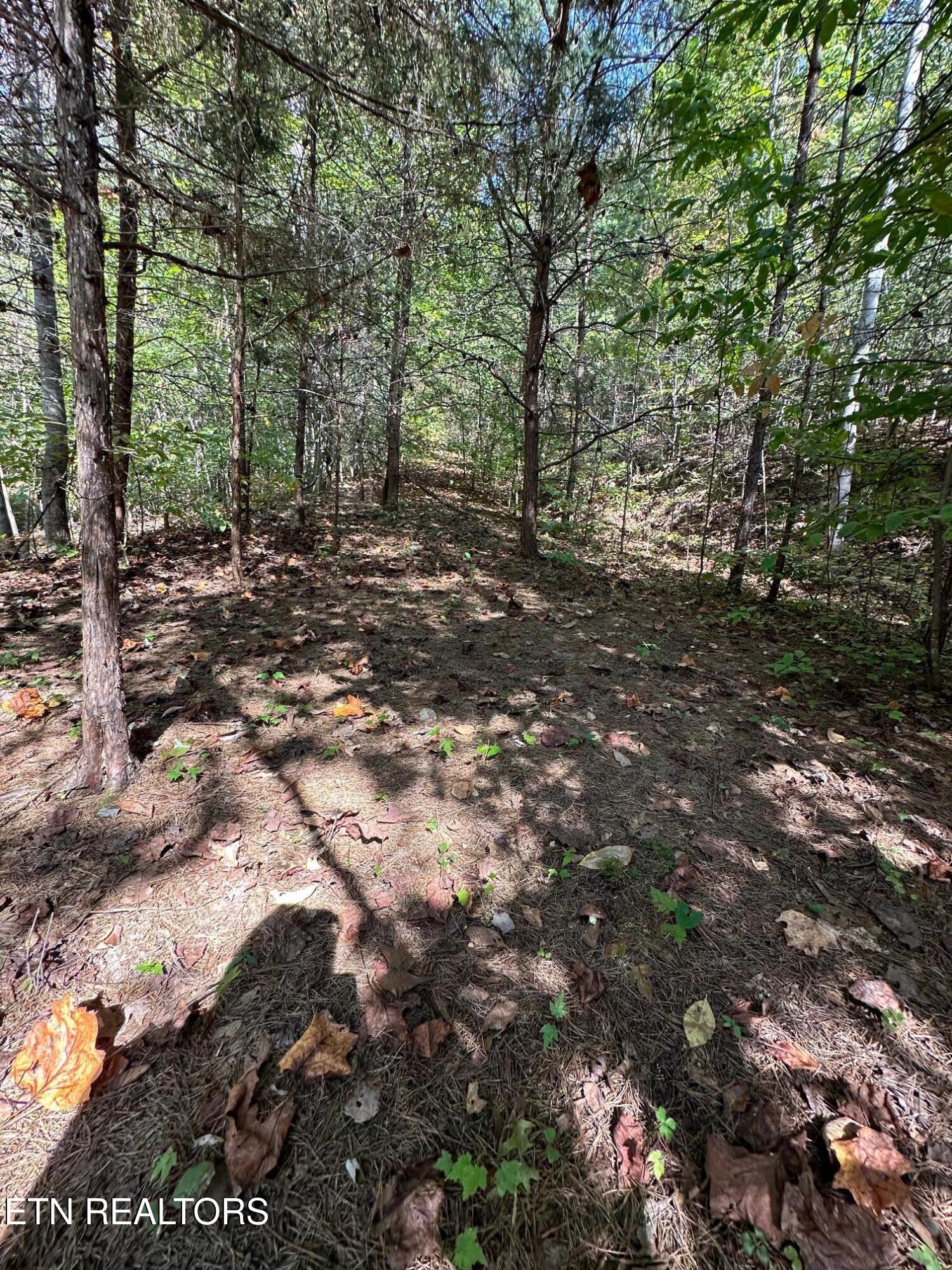 Whistle Valley Rd Property Photo 9