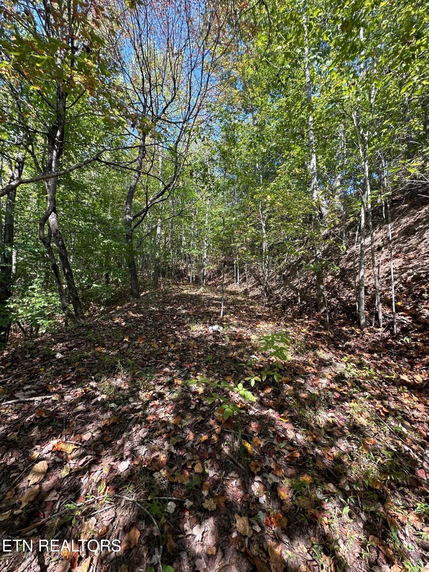 Whistle Valley Rd Property Photo 10