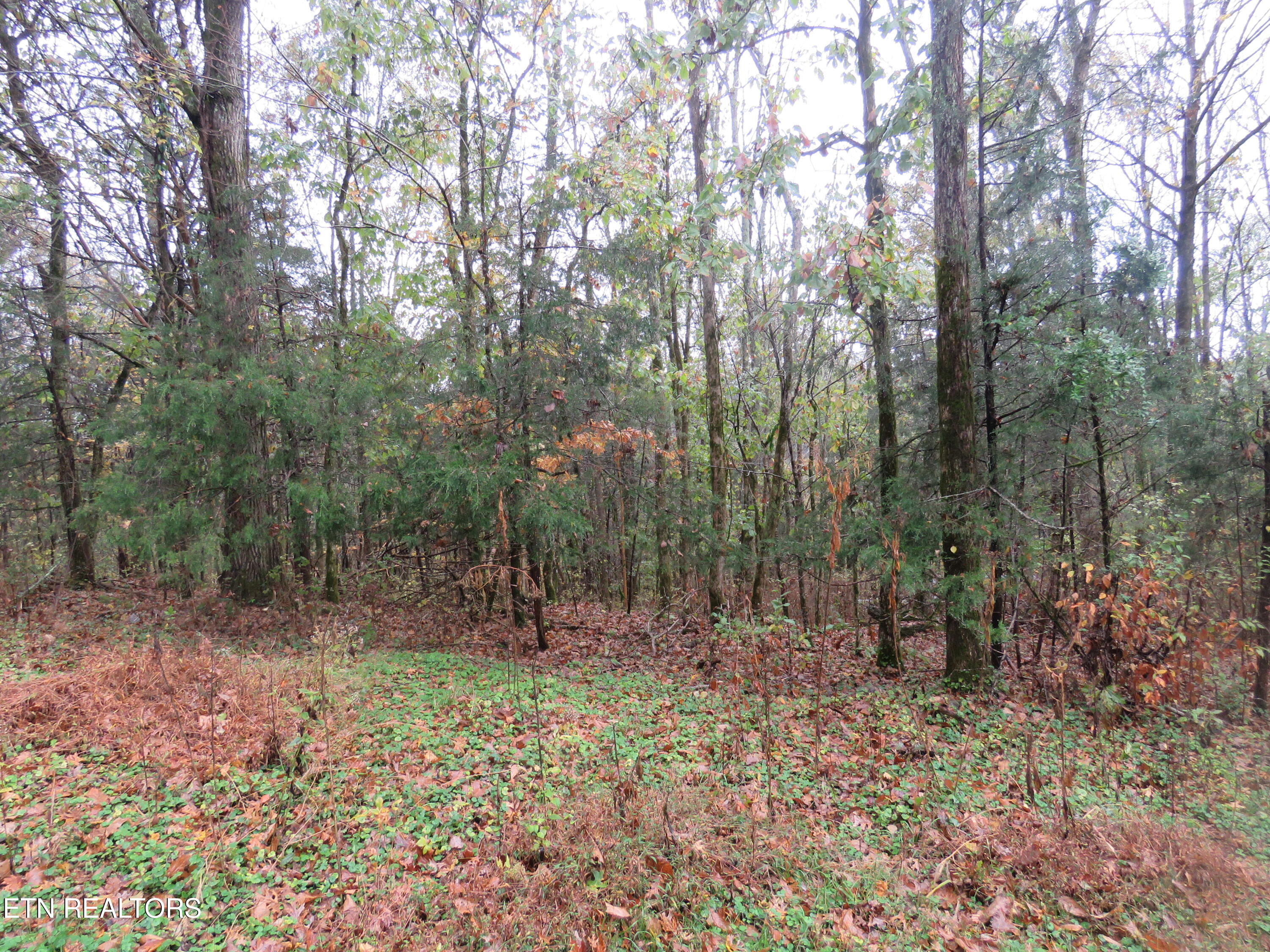 0 Hilltop Lane Property Photo