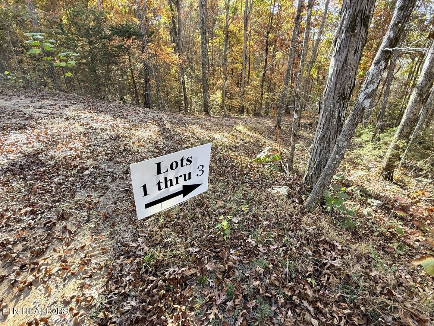 Tracts 1-3 Topaz Way Property Photo