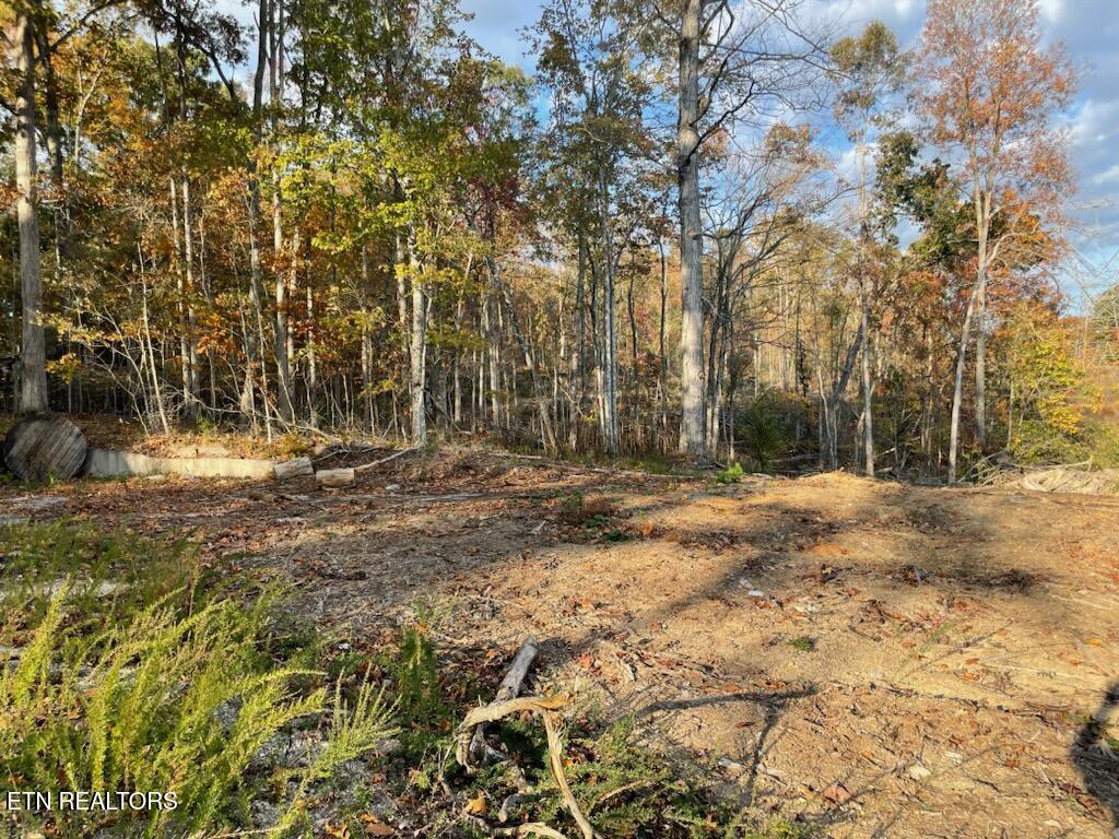 1707 Paint Rock Ferry Rd Property Photo 1
