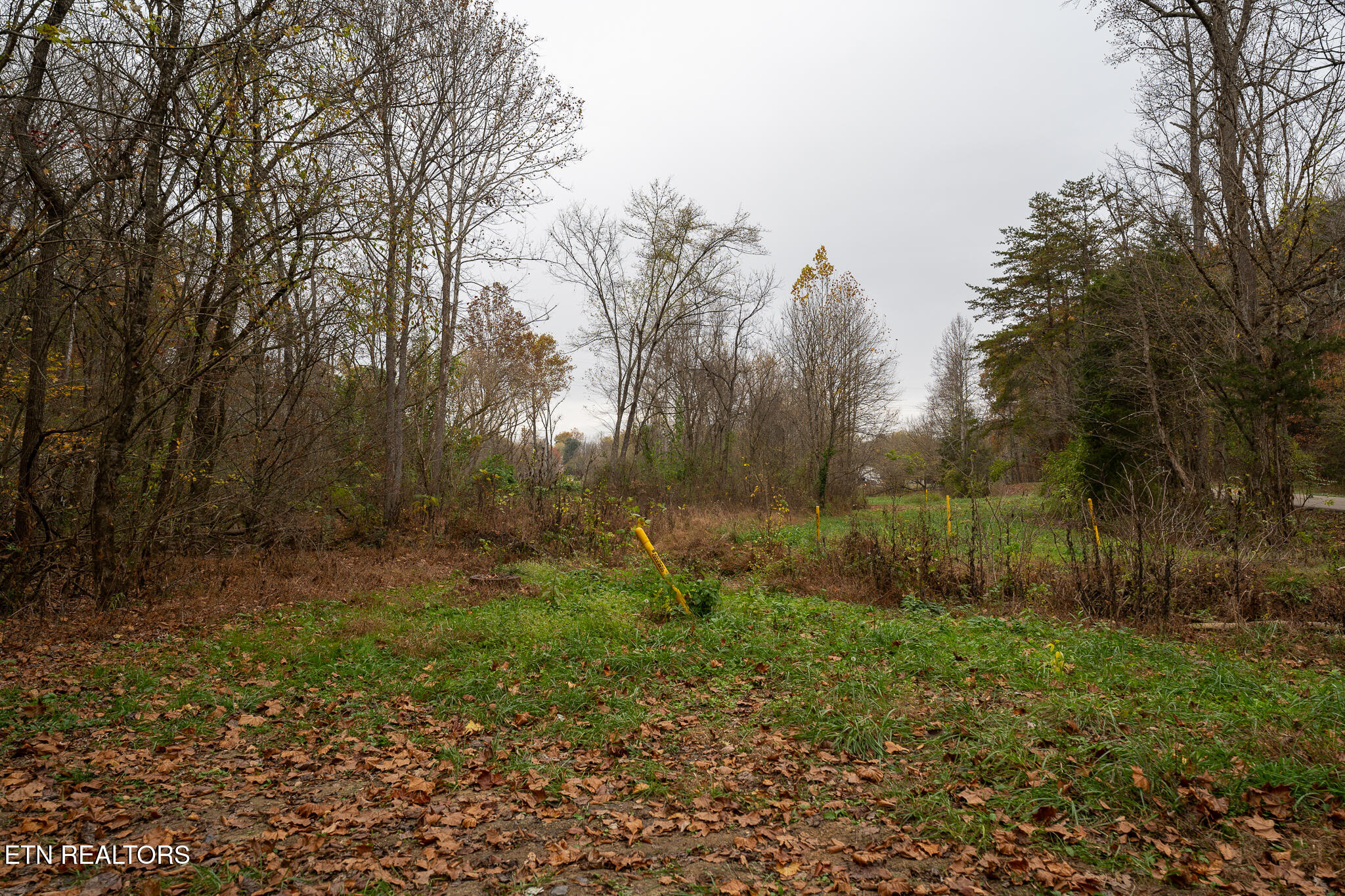 0 Brown Gap Rd Property Photo 3