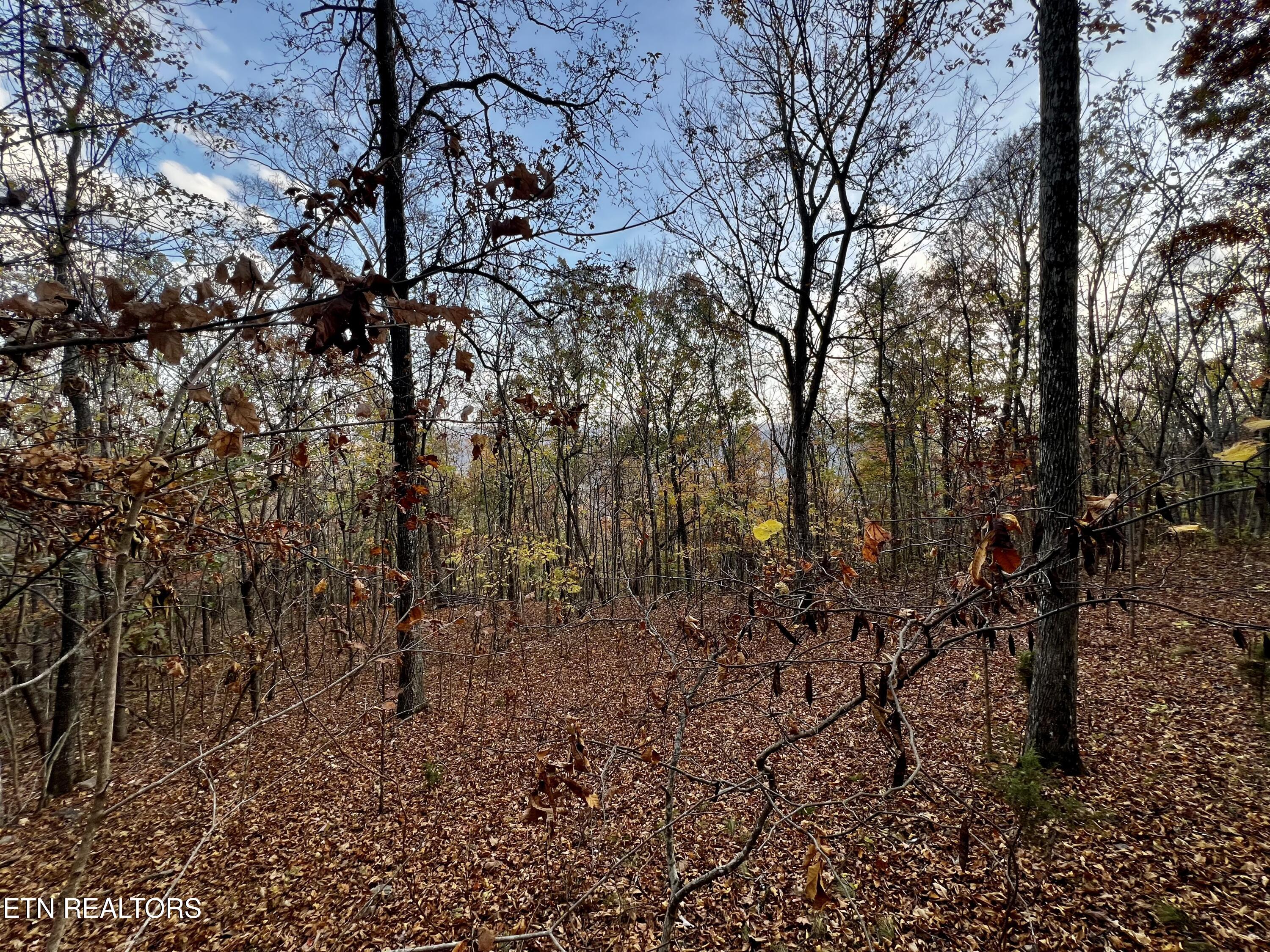 Lot 675 Chimney Rock Road Property Photo