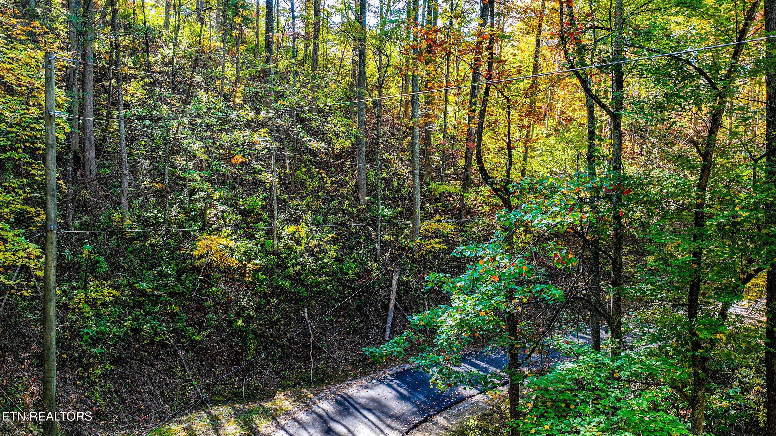 Emerald Springs Loop Property Photo 3