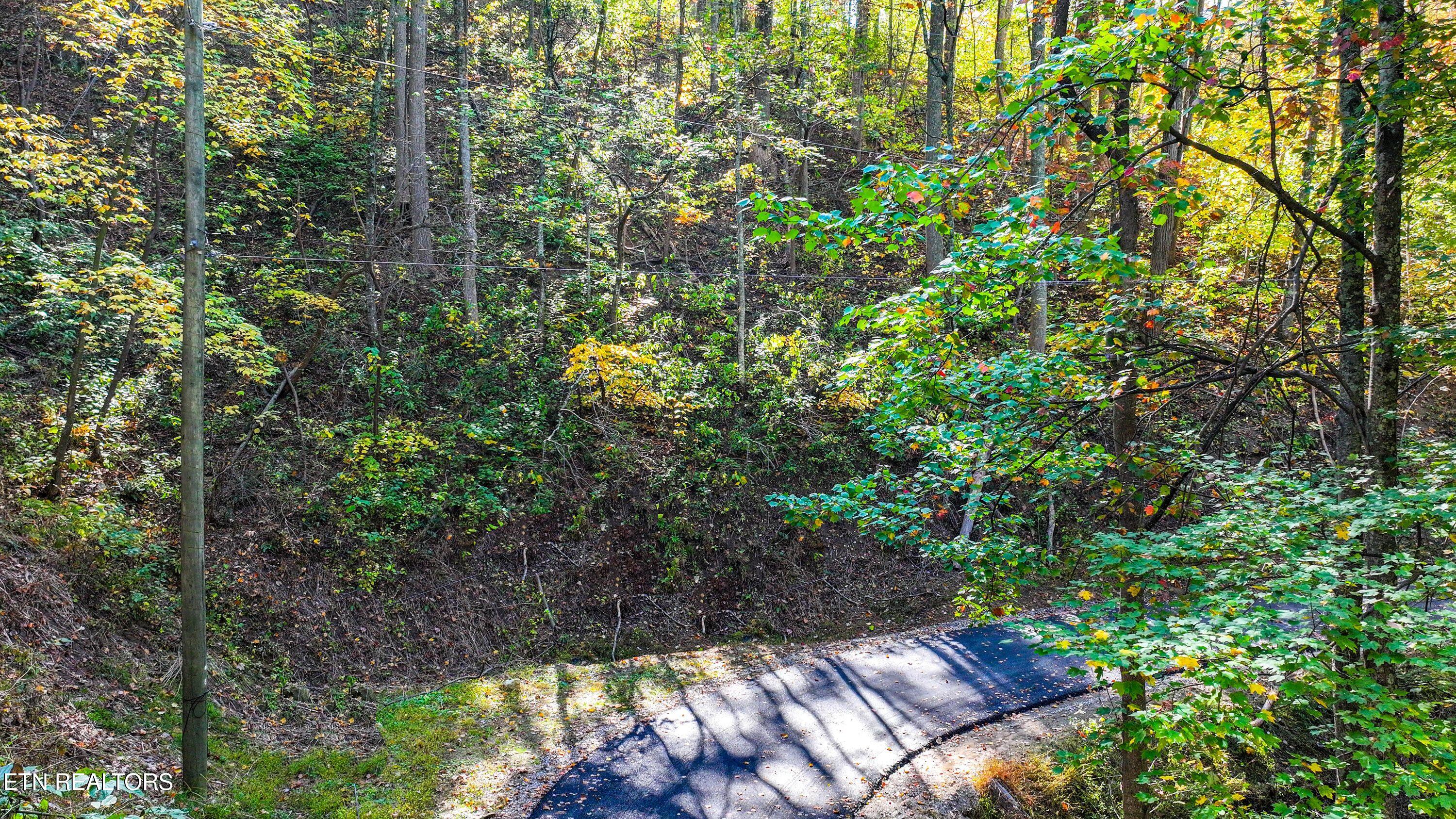 Emerald Springs Loop Property Photo 5