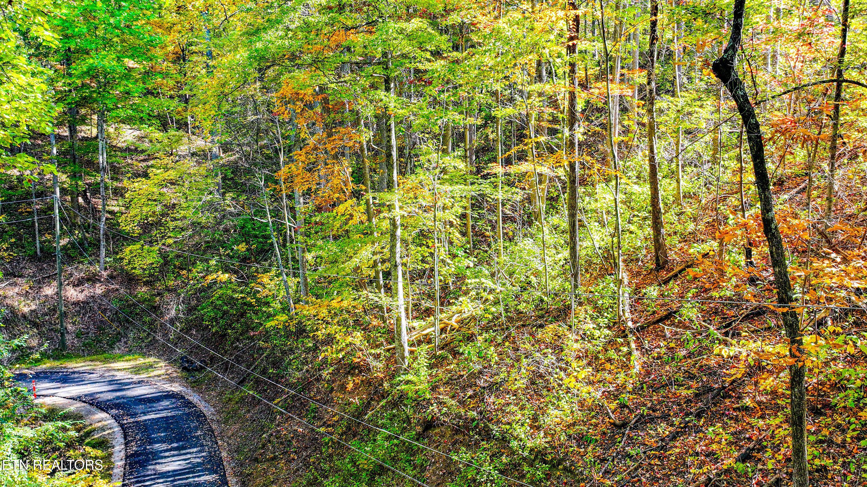 Emerald Springs Loop Property Photo 6