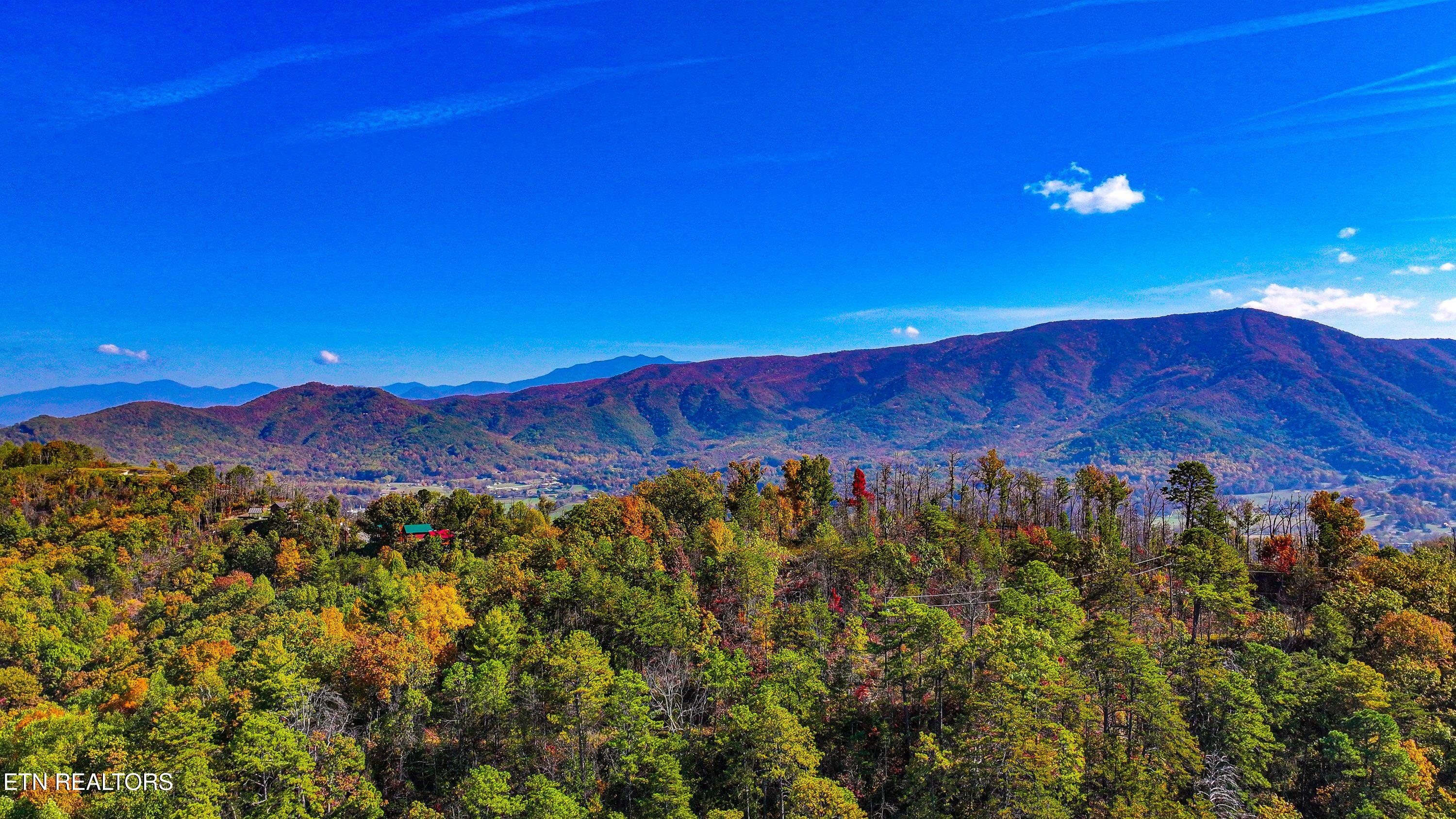 Emerald Springs Loop Property Photo 7