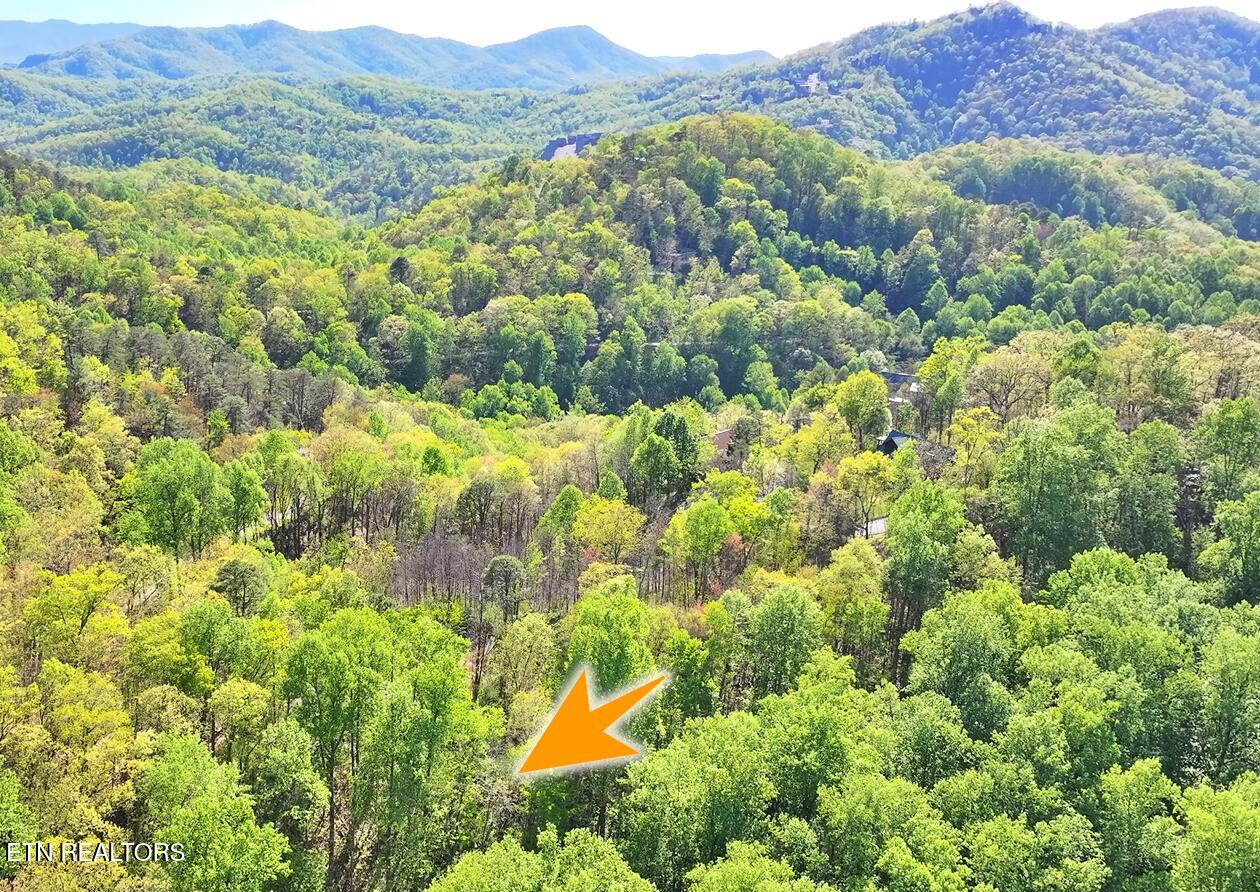 Emerald Springs Loop Property Photo 8