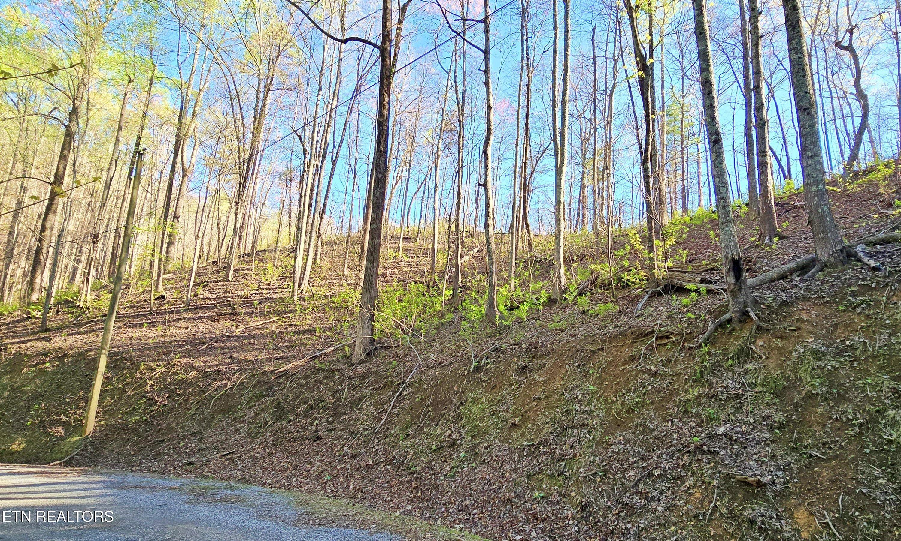 Emerald Springs Loop Property Photo 9
